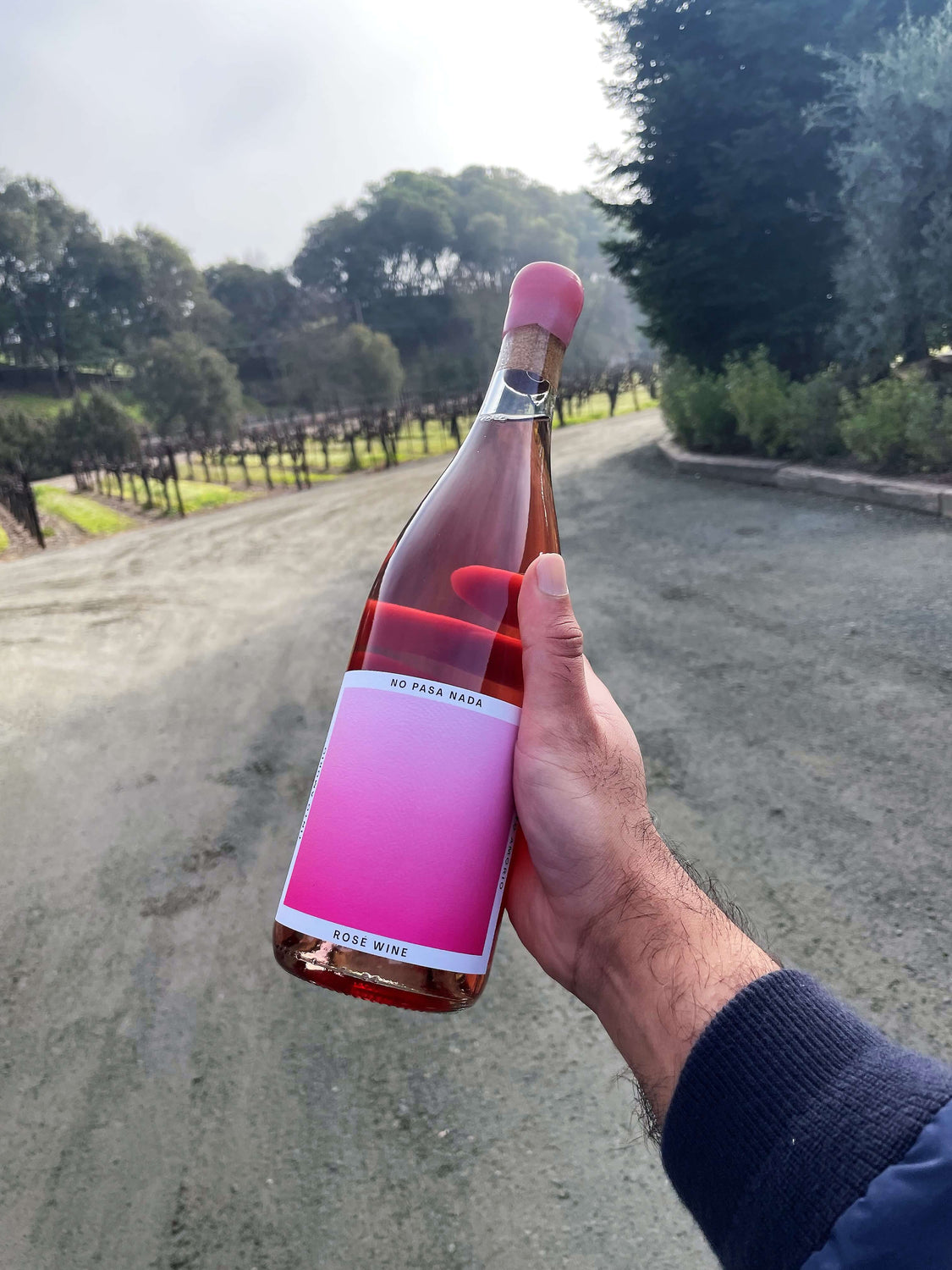 No Pasa Nada - Rose Wine at the winery | Tinto Amorio